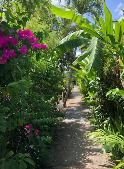 Secteur Prise, Bungalow Corail, Residence Casa Boubou Sainte-Anne  Kültér fotó