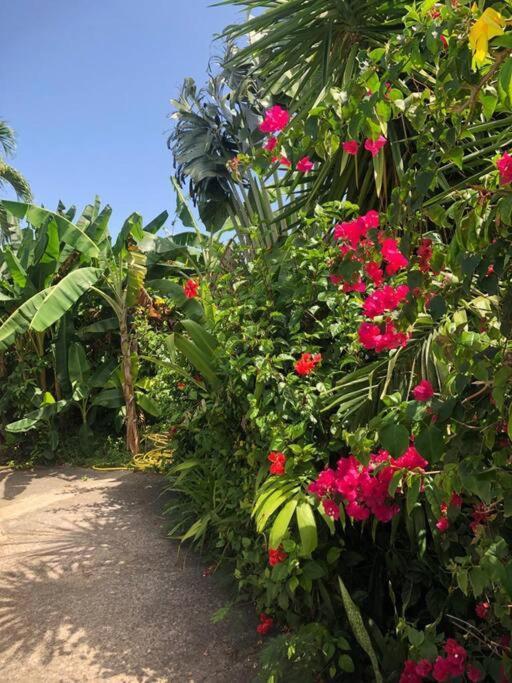 Secteur Prise, Bungalow Corail, Residence Casa Boubou Sainte-Anne  Kültér fotó